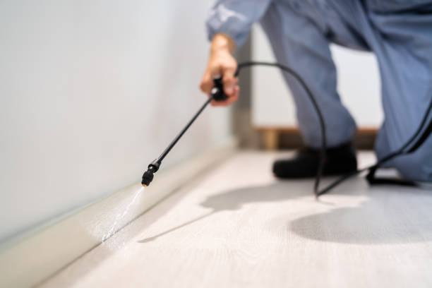 Licensed Cockroach Control service in Marissa, IL - Nex Pest Control