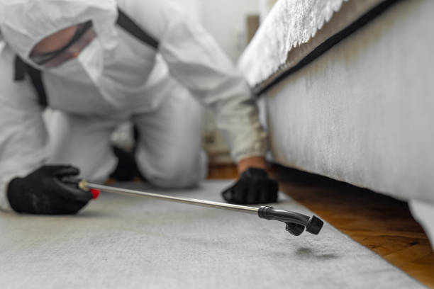 Professional Cockroach Control technician working in Marissa, IL