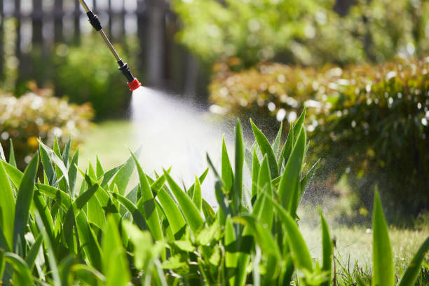 24/7 Emergency Cockroach Control experts in Marissa, IL