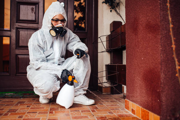 Reliable Cockroach Control contractor in Marissa, IL by Nex Pest Control